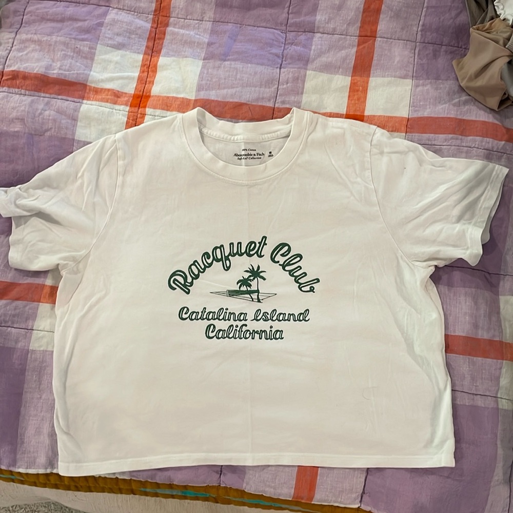 Abercrombie and Fitch Crop Top